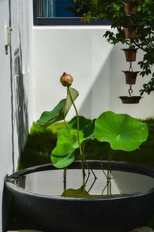 Begonia B&B Taitung Bagian luar foto